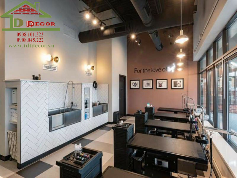 Thiết kế phòng khám thú y đạt tiêu chuẩn